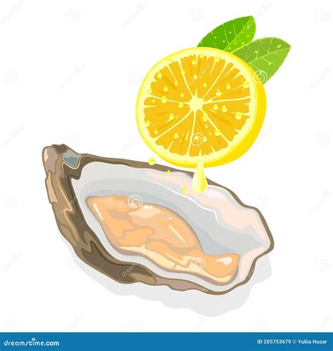 Cartoon Oyster And Lemon Stock Vector Illustration Of Organic 205753679