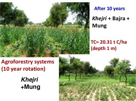 Session 1.4 design & devp of agroforestry systems