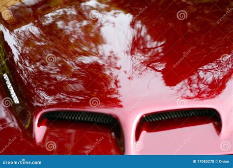 Sports Car Hood Stock Photo - Image: 17080270