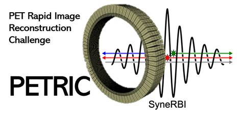 petric workshop  recordings ccp synerbi