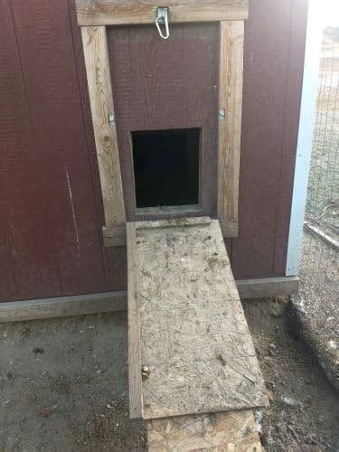 Chicken Coop Pop Doors Size Height Off The Ground And Design Ideas — The Featherbrain