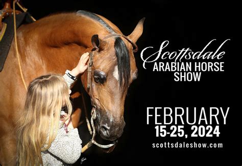 Arabian Horse Show In Scottsdale 2024 - Alyce Bernice