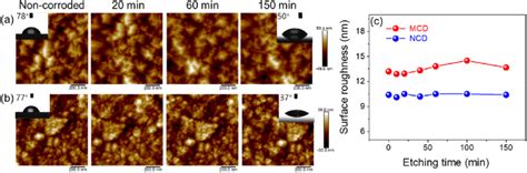 In situ AFM imaging with the scanning area of 2 μm 2 μm illustrating