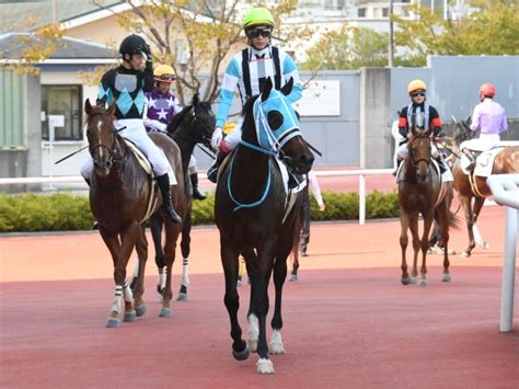 【メイクデビュー阪神4rレース後コメント】シダー藤岡康太騎手ら 競馬ニュース Netkeiba