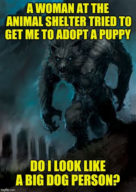 werewolf Memes - Imgflip