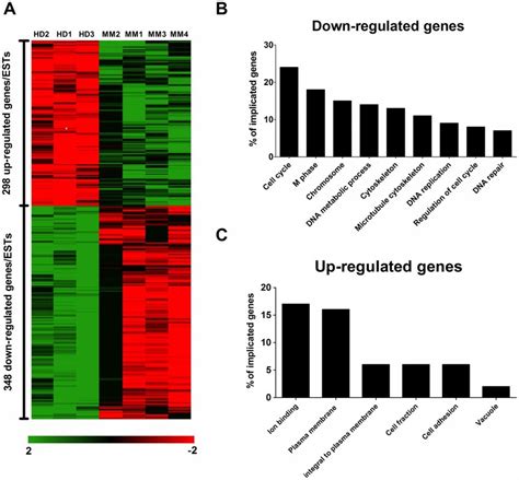 Rna Expression Profile In Mm Bm Mscs Is Highly Similar To Senescent Download Scientific Diagram