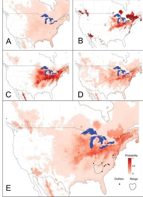 Species Distribution Model Sdm Predictions Of Trichonephila Clavata S