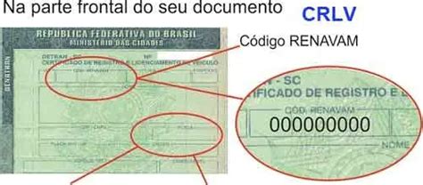 RENAVAM O Que É E Quando Ele É Feito Consulta Auto Consulta de