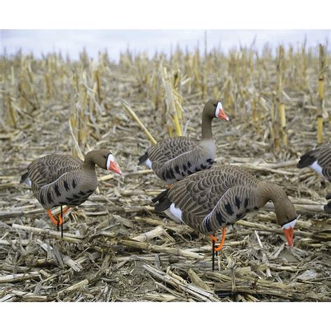 Prairiewind Decoys FREE SHIPPING Specklebelly Whitefront Full Body