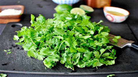 Cilantro Can Remove Of Heavy Metals From The Body Within Days