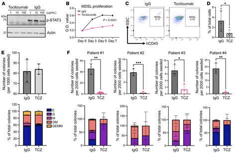 Tocilizumab Reduces Cell Proliferation And Colony Formation In MDS