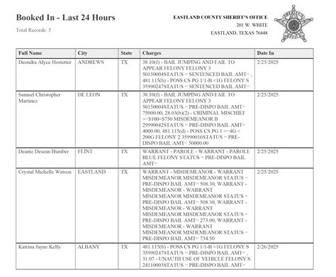 EASTLAND COUNTY JAIL ACTIVITY LAST 24 HOURS, FEBRUARY 24-28, 2025