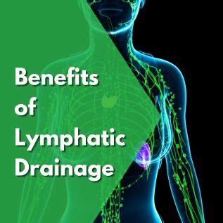 Detoxify Your Body The Benefits Of Lymphatic Drainage Wholistic