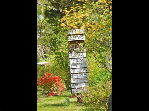 Pin by Germantown Tennessee on Oaklawn Garden | Beautiful, Germantown