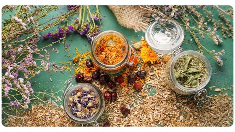 5 Best Online Herbalist Schools & Classes | The Botanical Institute