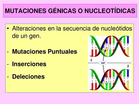 Mutaciones Genómicas