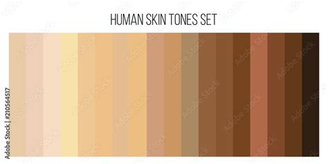 Creative vector illustration of human skin tone color palette set ...