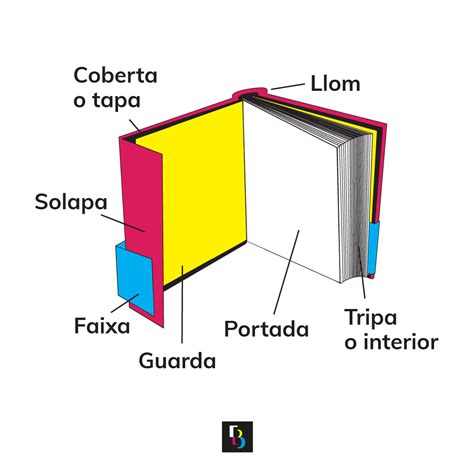 Partes Externas E Internas De Un Libro Grup Bou