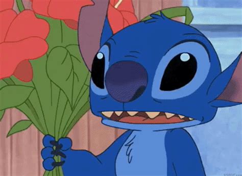 Stitch GIFs | USAGIF.com