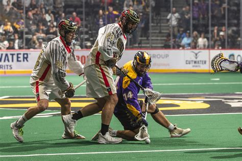 Game Preview Wings Vs Seals Philadelphia Wings Lacrosse