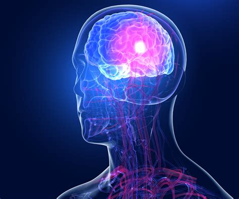 Descubren Que El Cerebro De Los Hombres Se Encoge A Esta Hora Y Ahora