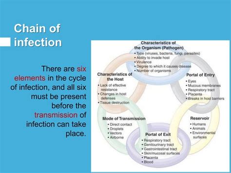 Hospital acquired infection and its prevention | PPT