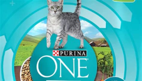 Where Is Purina Cat Food Made?