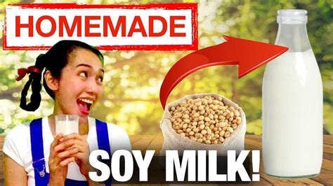 Homemade Soy Milk 101 How To Make Soy Milk The Fun And Easy Way Youtube