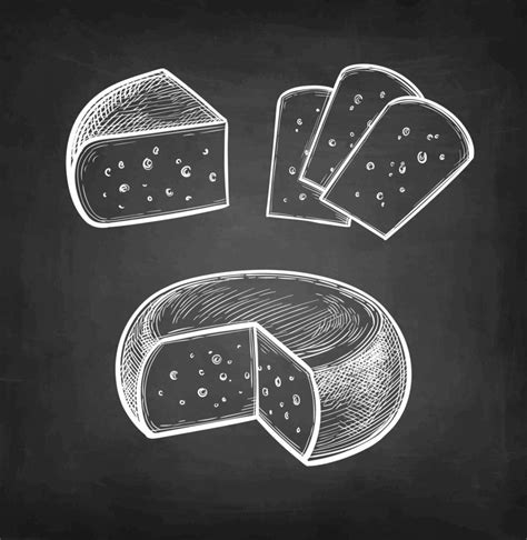 Gouda Cheese Chalk Sketch On Blackboard Background Hand Drawn Vector