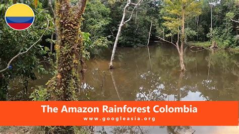 The Amazon Rainforest Colombia-1 - GoogleAsia.ORG 1001 Best ...