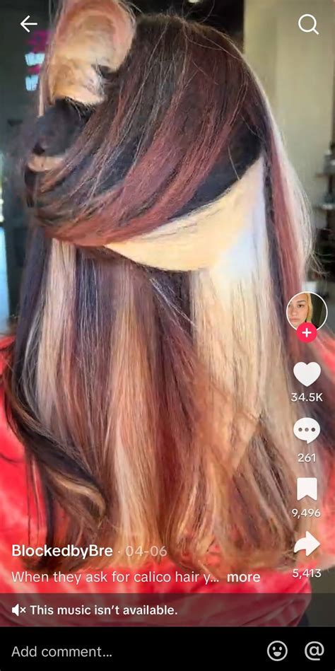 Calico Hair Color Best Calico Hairstyle Ideas Perfect