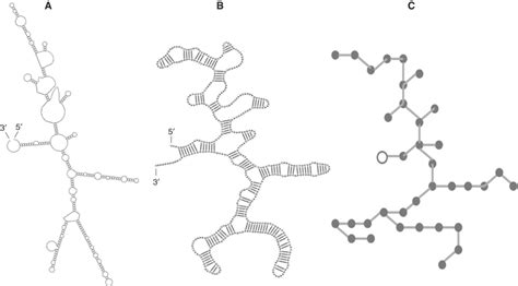 Three Different Representations Of The Mfold Predicted Minimum Free