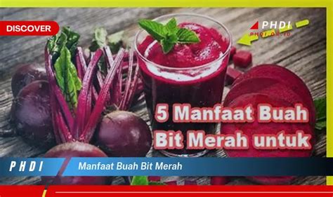 Temukan 7 Manfaat Buah Bidara Yang Jarang Diketahui