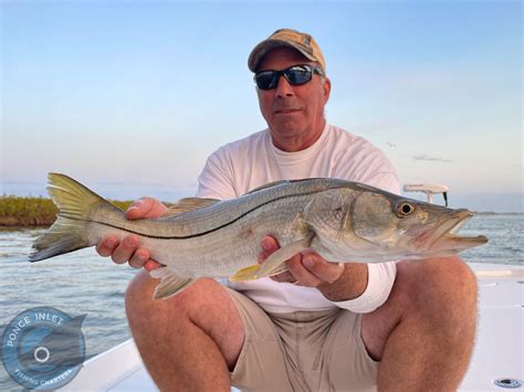 New Smyrna Beach Fishing Report New Smyrna Beach Fishing Charters