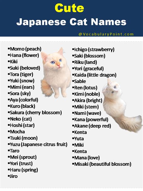 200+ Best Japanese Cat Names | Cat names, Japanese cat, Cute pet names