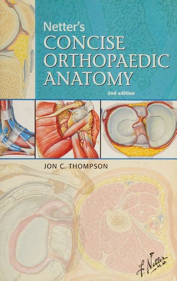 Netters Concise Orthopaedic Anatomy Thompson Jon C Free Download