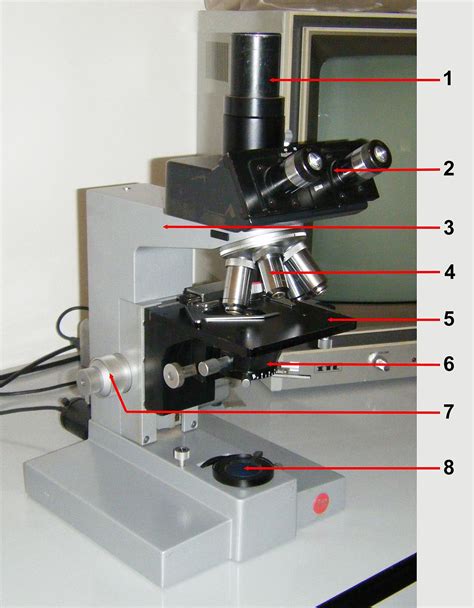 Microscopio ottico che cos è e come funziona prima parte