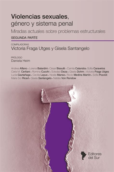 Violencias Sexuales Género Y Sistema Penal Miradas Actuales Sobre