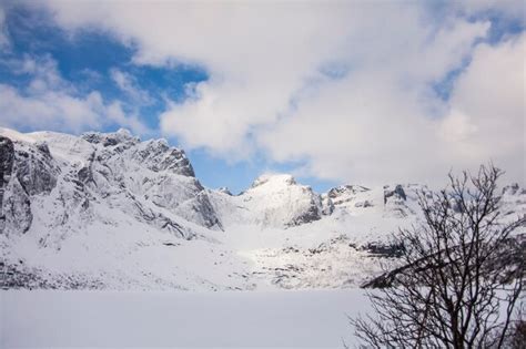 Premium Photo | Winter in lofoten islands northern norway