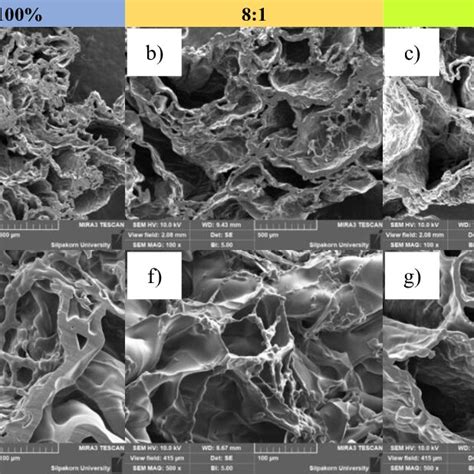 Fe Sem Images Of Cmc Hydrogel A E Cmc Cd Hydrogel At Ratio Of