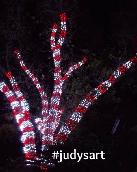 Red and White Candy Cane Outdoor Christmas Lights Display. Tree Wrapped ...