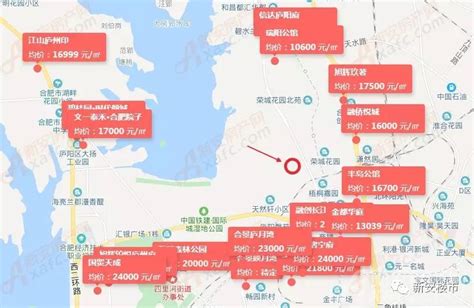 滨投、远大拿地！815合肥土拍揽金2191亿元 搜狐大视野 搜狐新闻