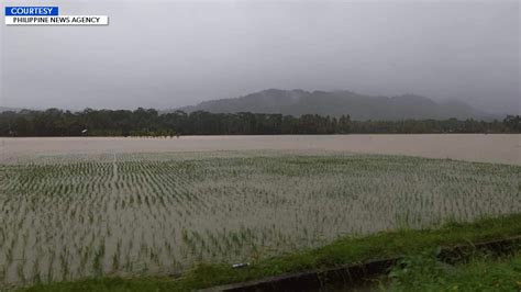 Pinsalang Iniwan Sa Sektor Ng Agrikultura Ng Walang Tigil Na Pag Ulan