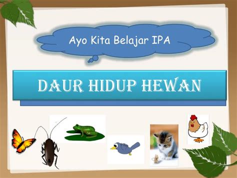 Ppt Daur Hidup Hewan Powerpoint Presentation Free Download Id3088137