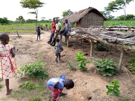 Help 200 youth in sustainable agriculture Tanzania - GlobalGiving