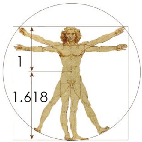 vitruvian-man-golden-ratio - Light Source Journeys