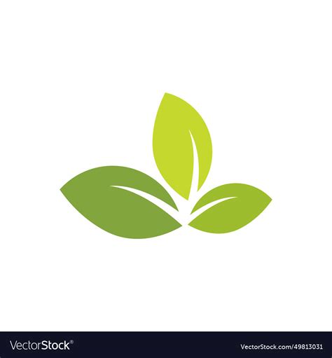 Green leaf Royalty Free Vector Image - VectorStock