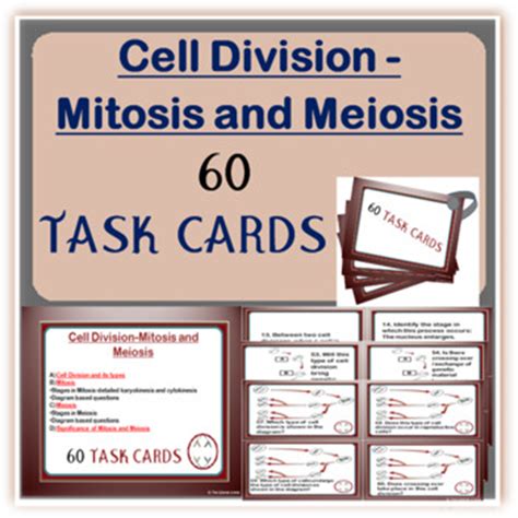 Mitosis And Meiosis Task Cards On Cell Division With Answer Keys In