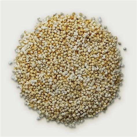 Amaranto Reventado (Amaranth Popped) 16 oz | Herbs of Mexico