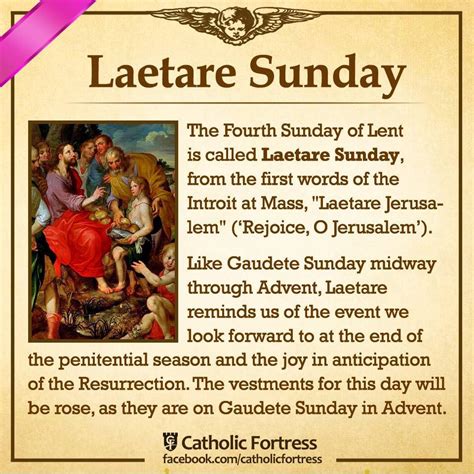 Young catholic adults Latest News: Laetare Sunday